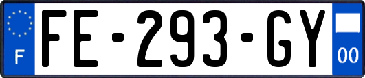 FE-293-GY