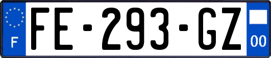 FE-293-GZ