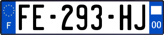 FE-293-HJ