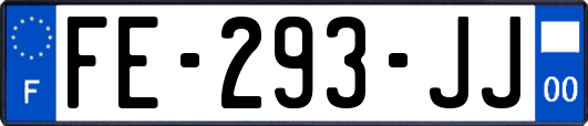 FE-293-JJ