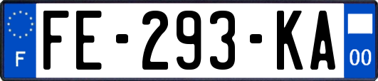 FE-293-KA