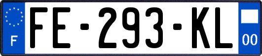 FE-293-KL