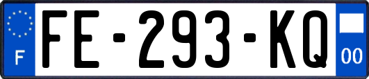 FE-293-KQ
