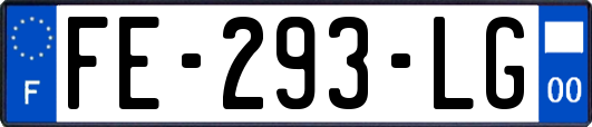 FE-293-LG