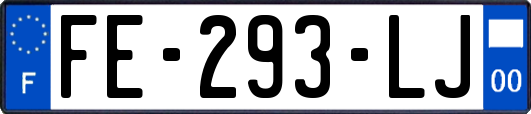 FE-293-LJ