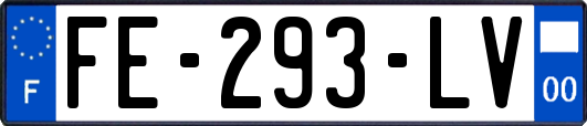 FE-293-LV