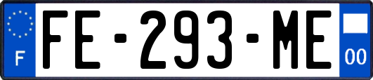 FE-293-ME