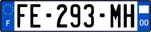 FE-293-MH