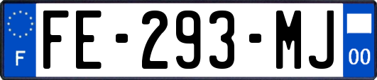 FE-293-MJ