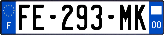 FE-293-MK