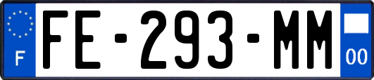 FE-293-MM