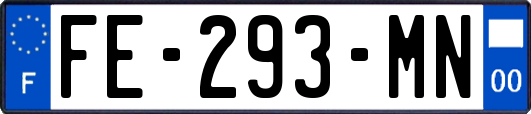 FE-293-MN