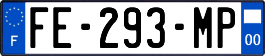 FE-293-MP