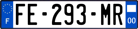 FE-293-MR
