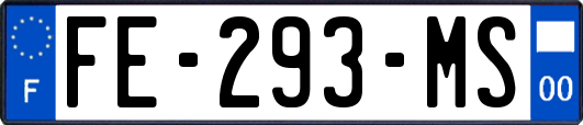 FE-293-MS