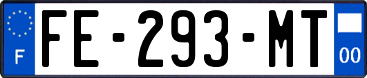 FE-293-MT