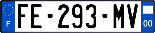 FE-293-MV
