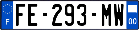 FE-293-MW