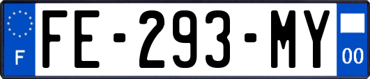 FE-293-MY