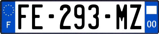 FE-293-MZ