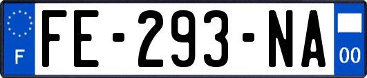 FE-293-NA