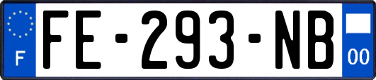 FE-293-NB