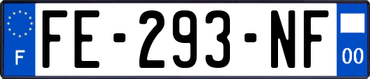 FE-293-NF