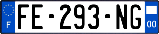 FE-293-NG