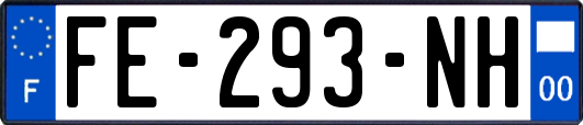 FE-293-NH
