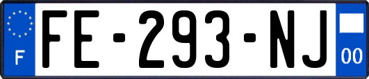 FE-293-NJ