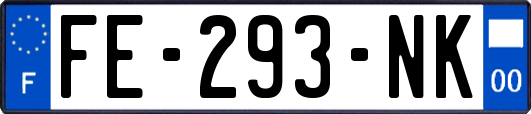 FE-293-NK