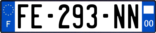 FE-293-NN