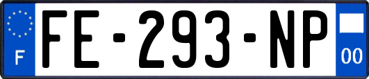 FE-293-NP