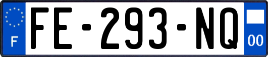 FE-293-NQ