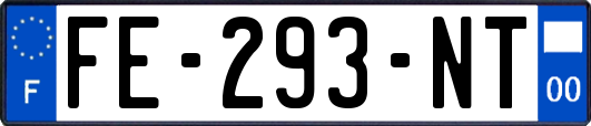 FE-293-NT