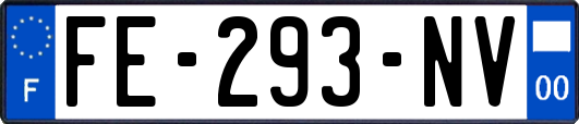 FE-293-NV