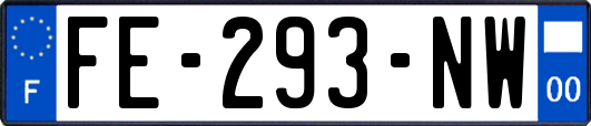 FE-293-NW