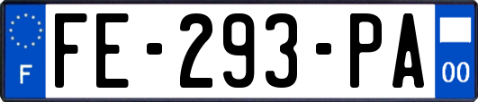 FE-293-PA