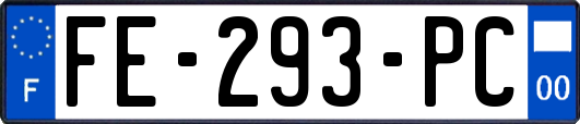 FE-293-PC
