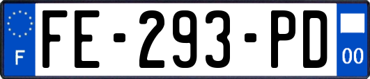 FE-293-PD