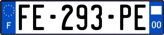 FE-293-PE