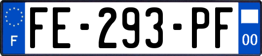 FE-293-PF