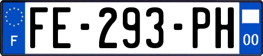 FE-293-PH