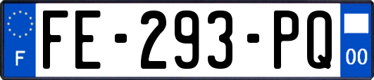 FE-293-PQ