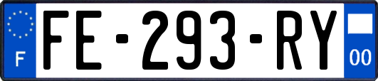 FE-293-RY