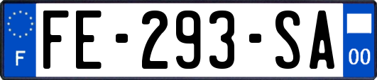 FE-293-SA