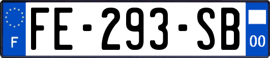 FE-293-SB