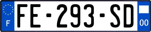 FE-293-SD