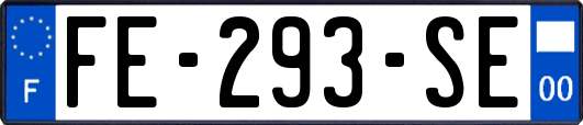 FE-293-SE