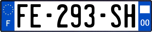 FE-293-SH